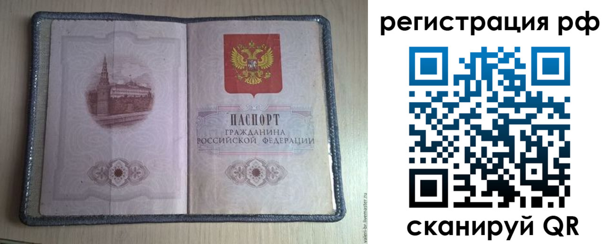 прописка поиск в Коркино
